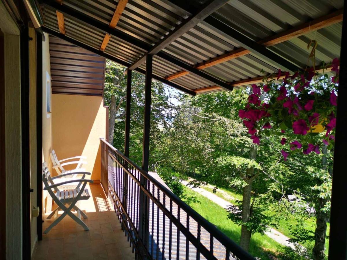 Gorska Vila Apartments Zabljak  Ngoại thất bức ảnh