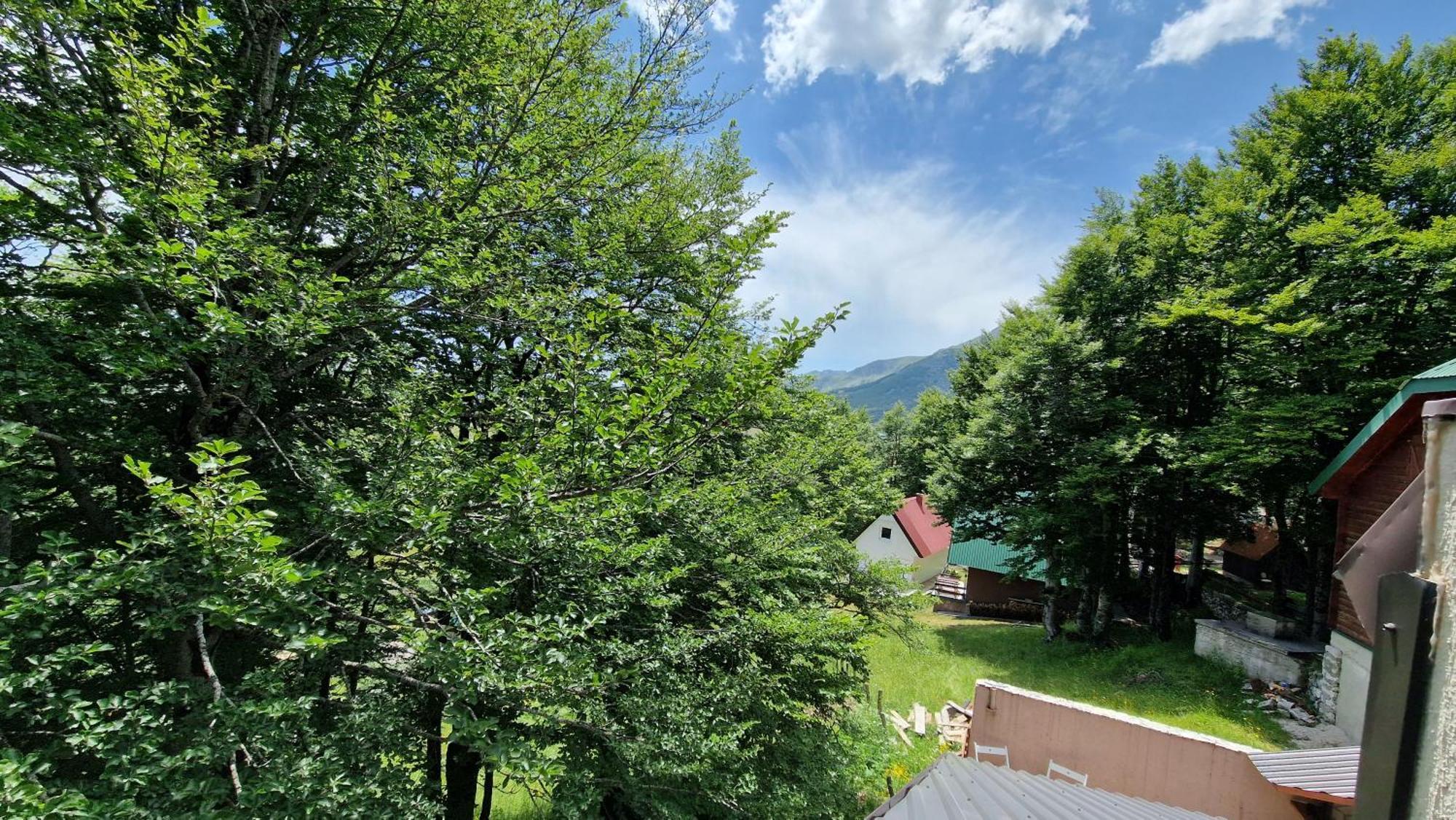 Gorska Vila Apartments Zabljak  Phòng bức ảnh