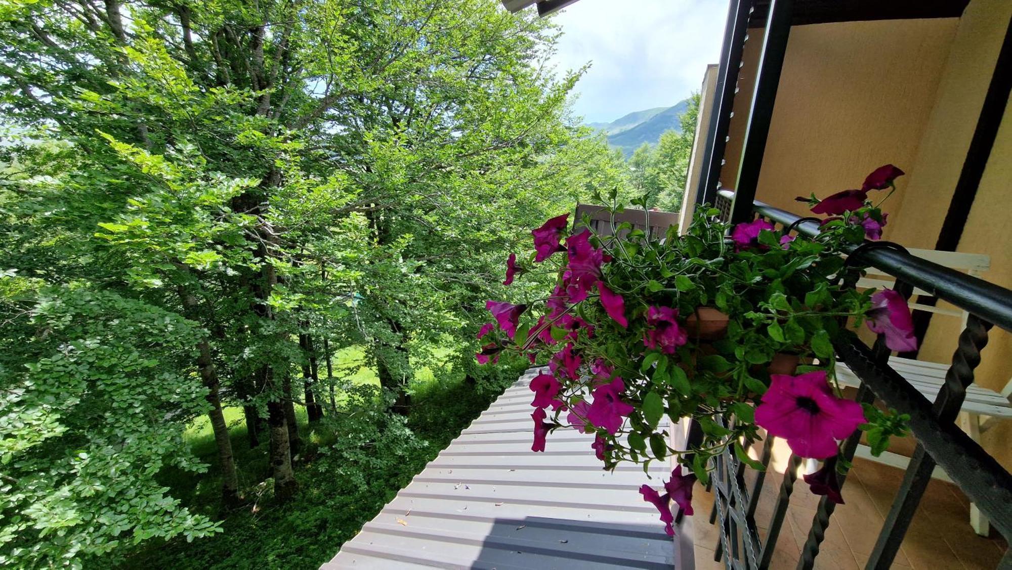 Gorska Vila Apartments Zabljak  Phòng bức ảnh